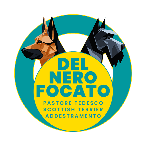 logo allevamento del nero focato pastore tedesco scottish terrier addestramento